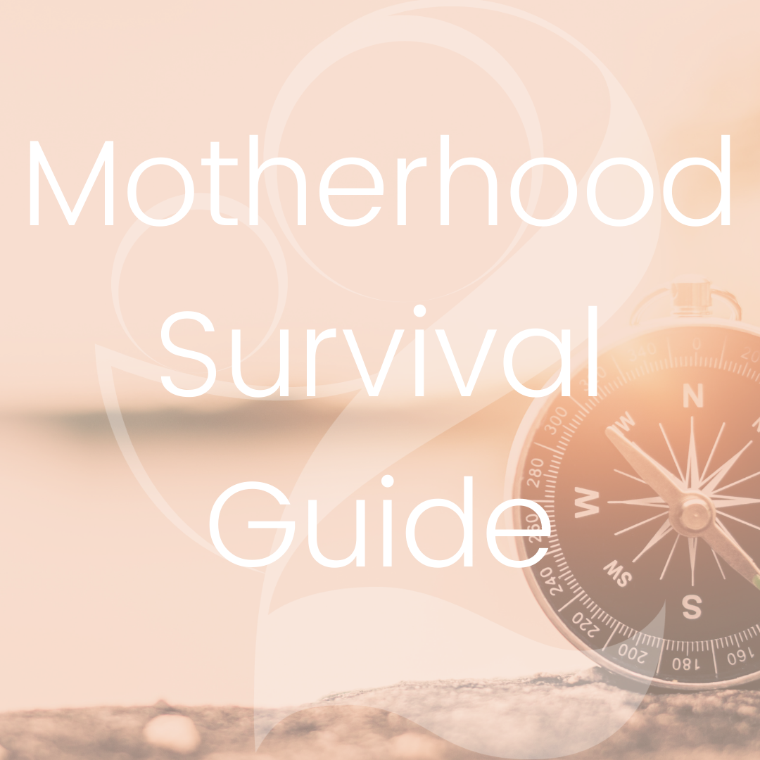 Motherhood Survival Guide