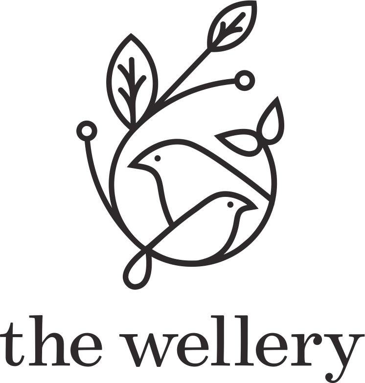 the wellery chiropractic care