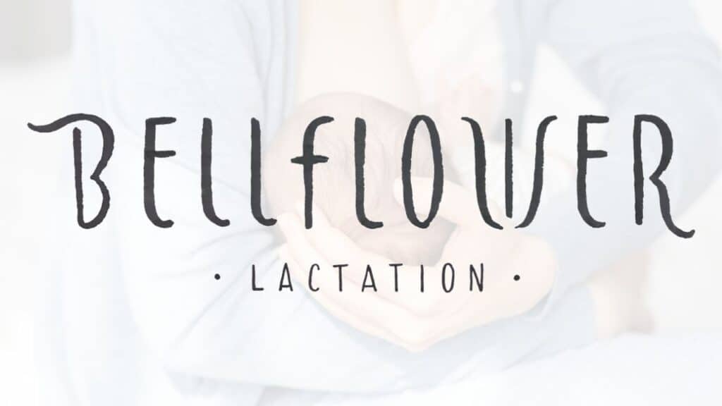 Bellflower Lactation