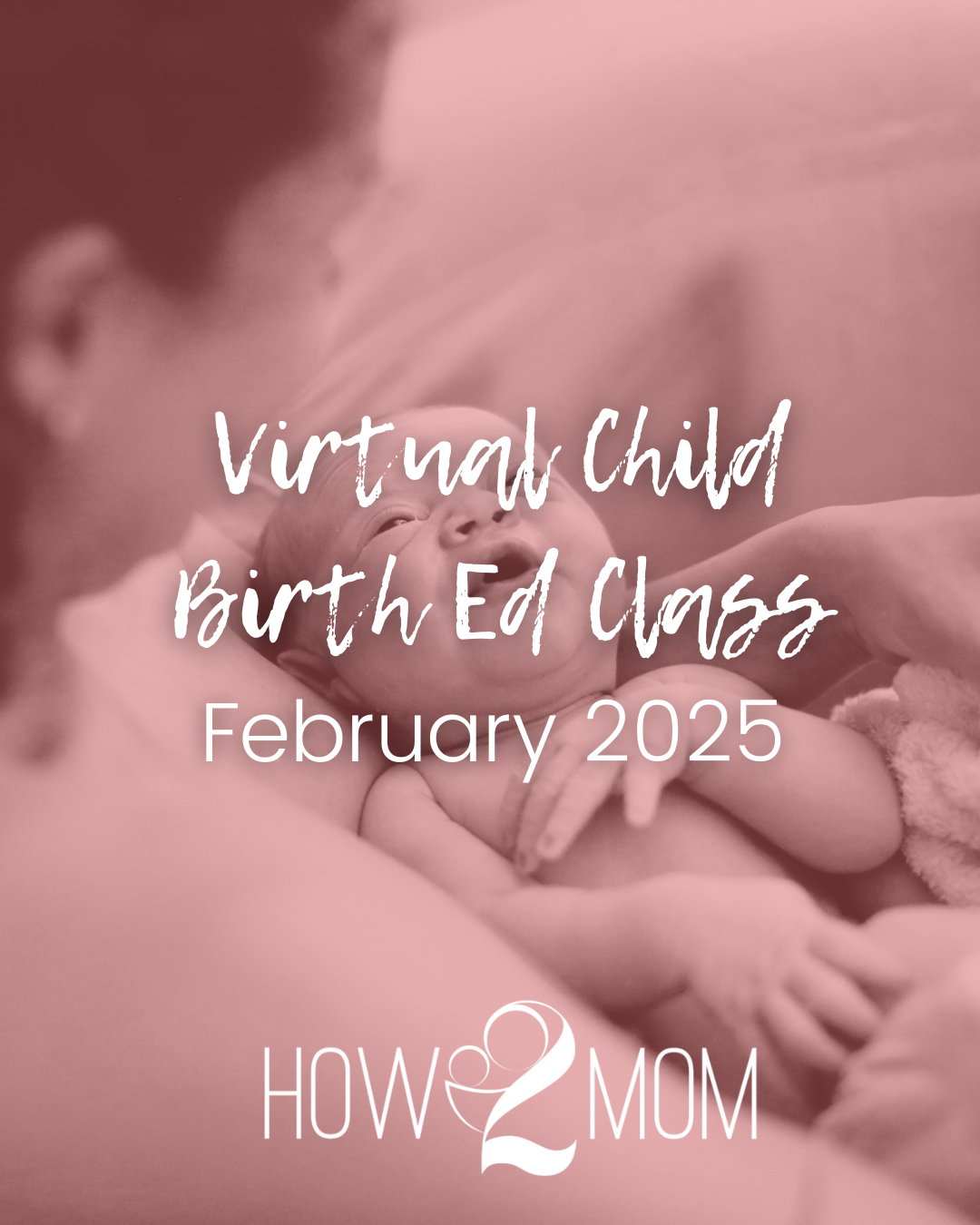 Virtual LIVE Childbirth Education Class: February 2025