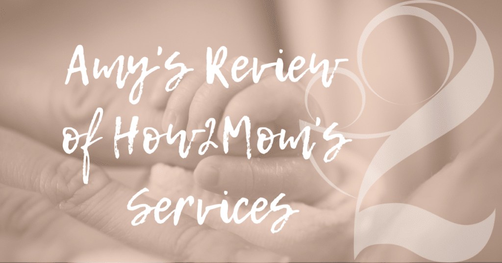Amy's Review of How2Mom's Services