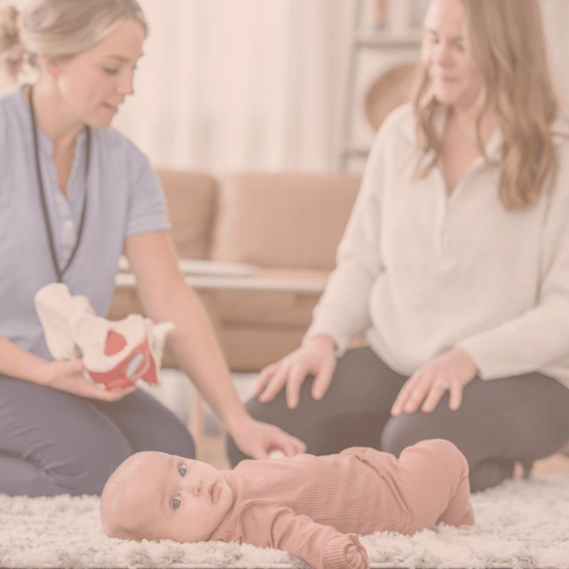 pelvic floor education